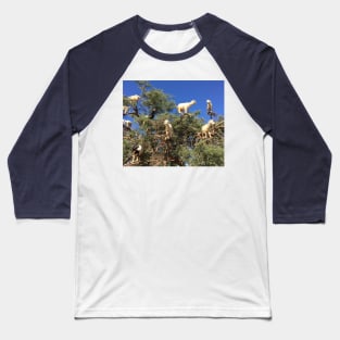 Goats in an argan tree Baseball T-Shirt